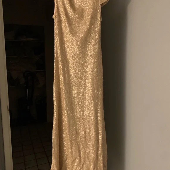 Sorella Vita Bridesmaid Dress Size 12 - Picture 5 of 6